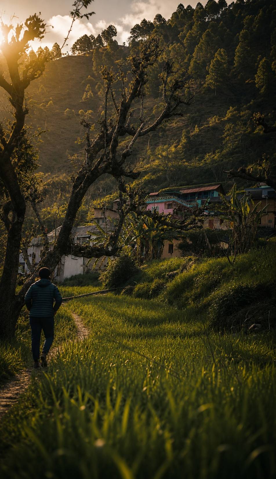 Trekking trail leading through terraced fields toward the traditional villages of Tipri and Dugh